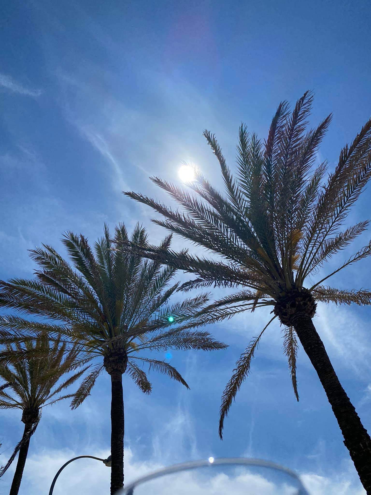 Antonio A. Andrade