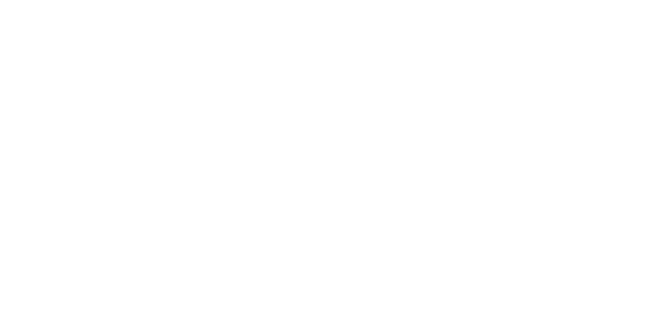 10-Lawyer.png