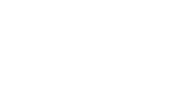 12-Lawyer.png