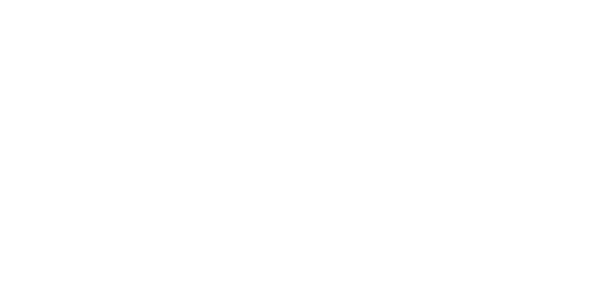 15-Lawyer.png